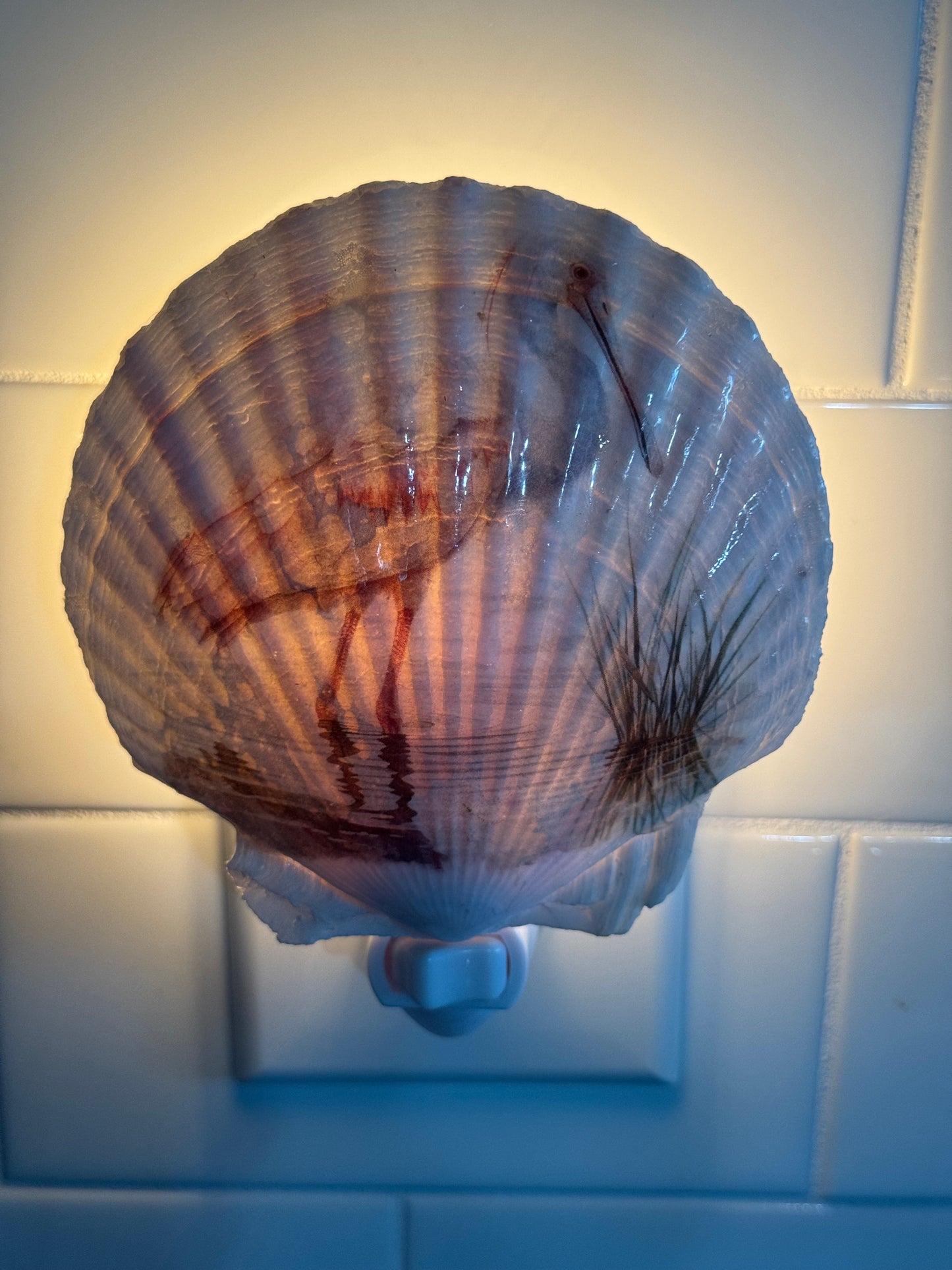 Coastal Glow Nightlight