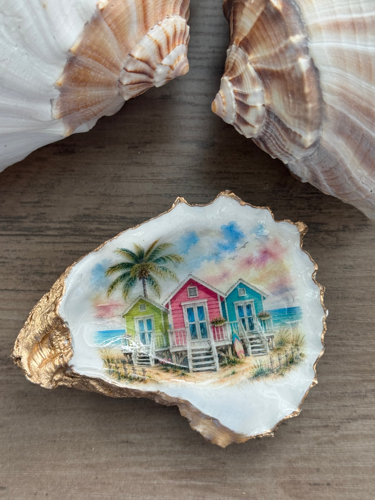Seaside Cottage Shell