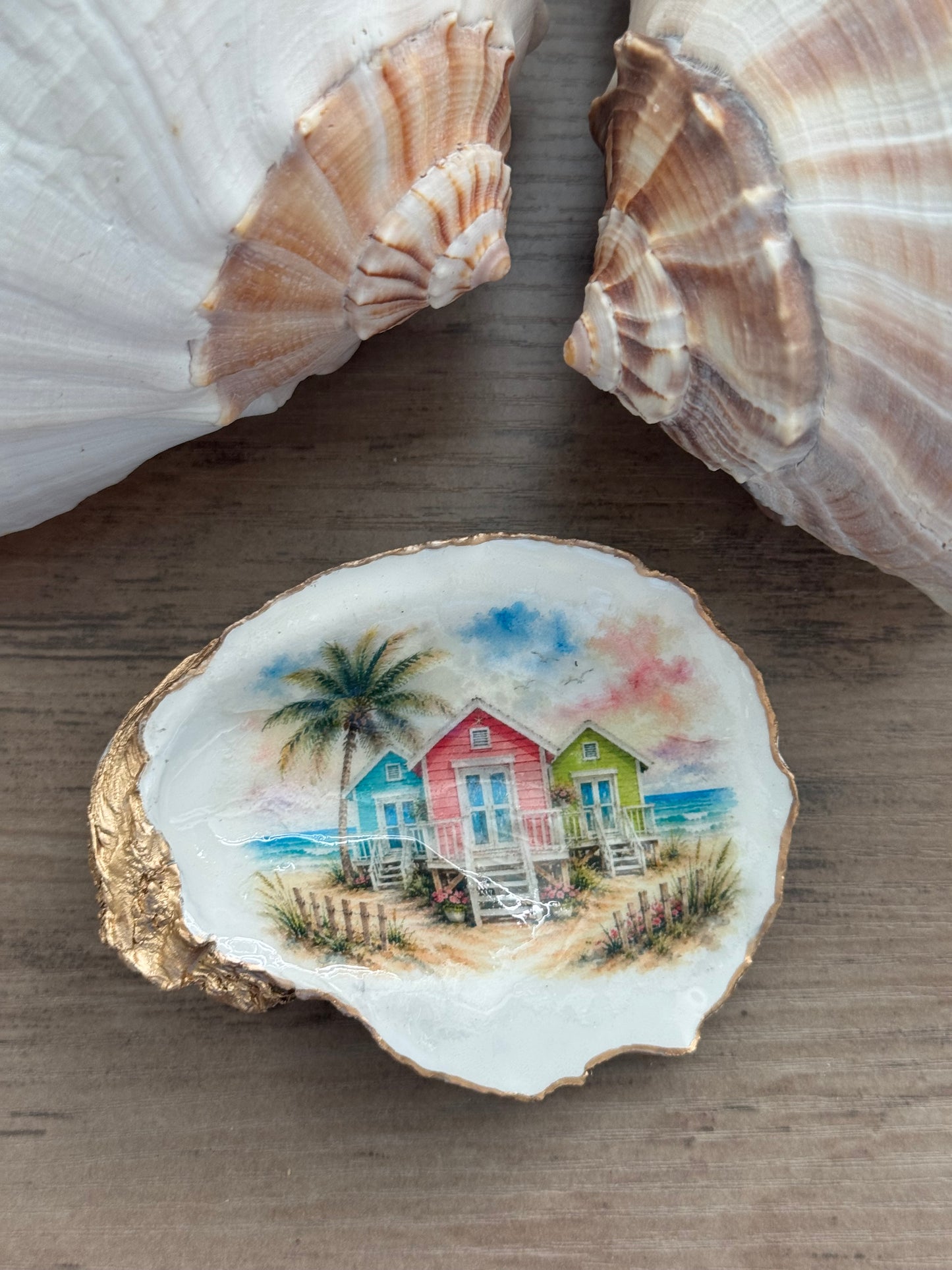 Seaside Cottage Shell