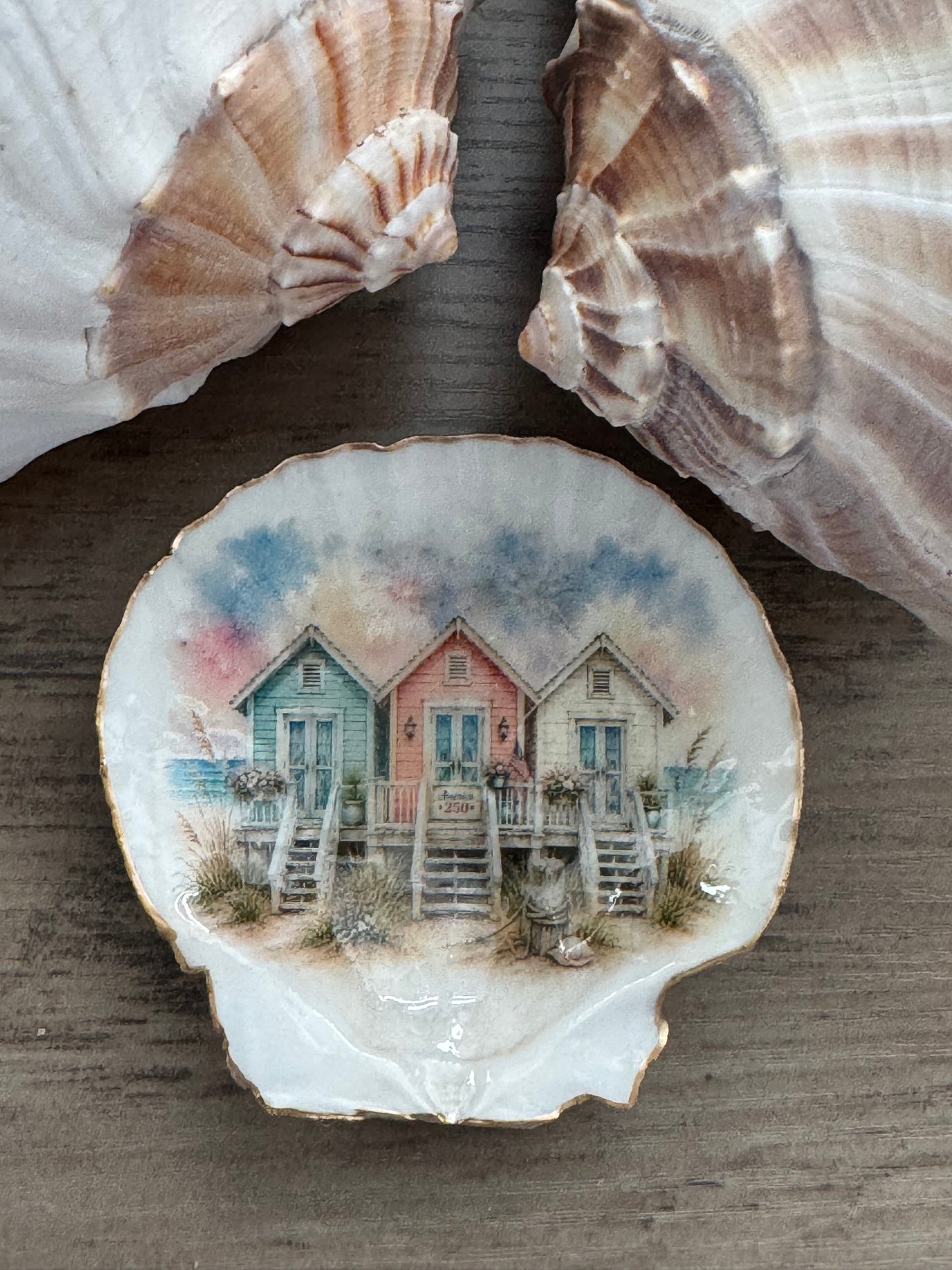 Seaside Cottage Shell