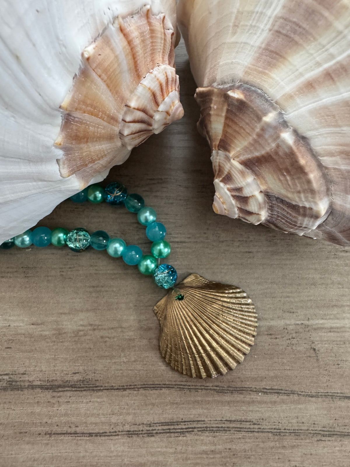 Treasure Shell Coastal Treasure Shell Necklace – Juli's Coastal Creations