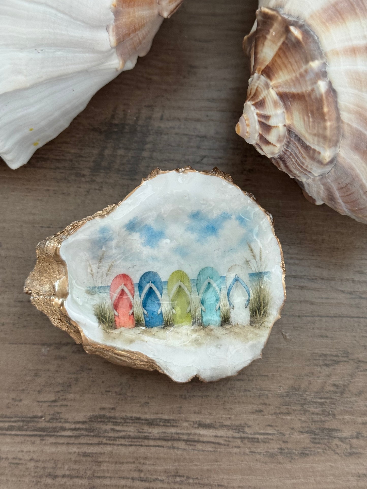 Seaside Cottage Shell