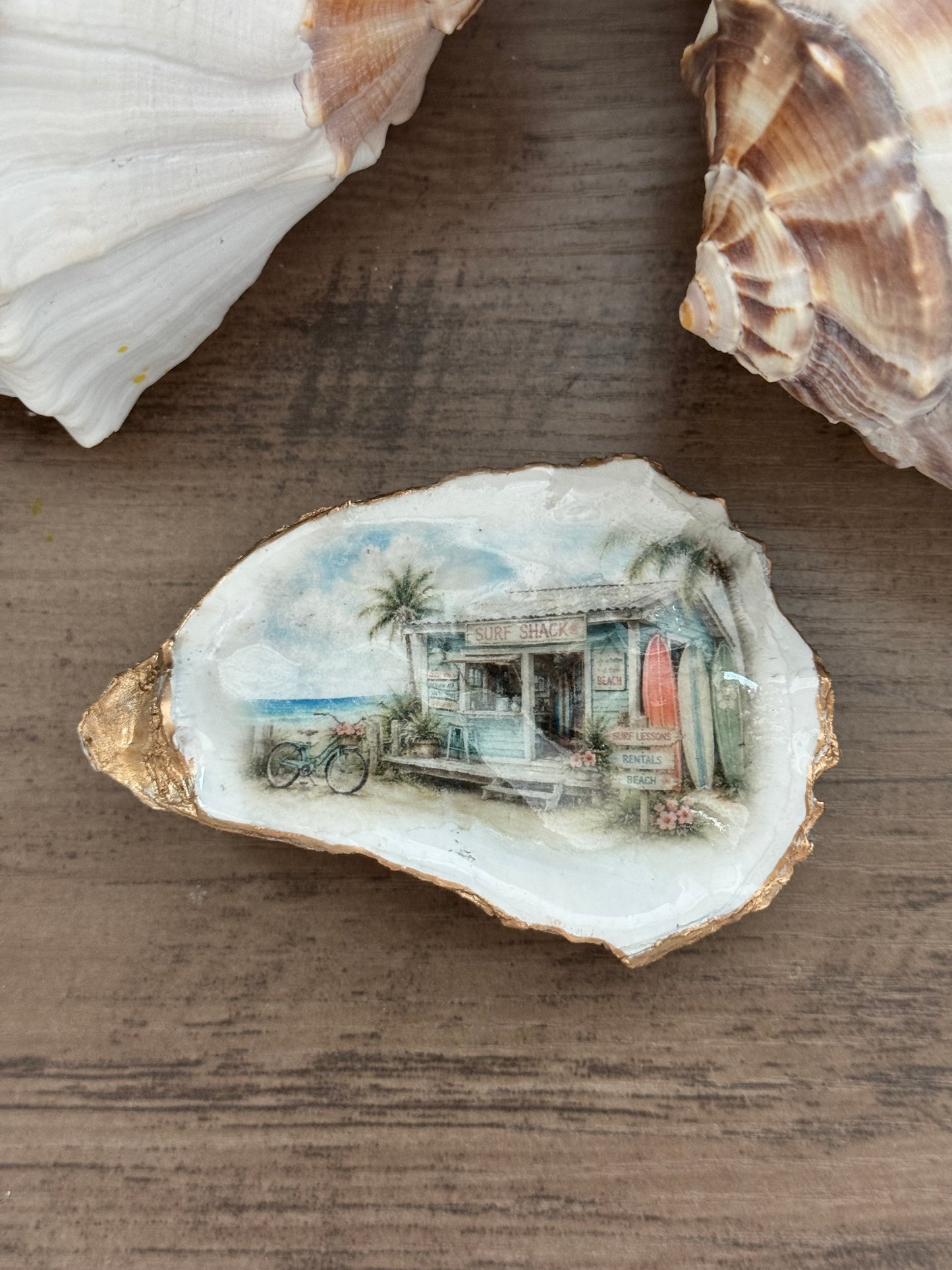 Seaside Cottage Shell
