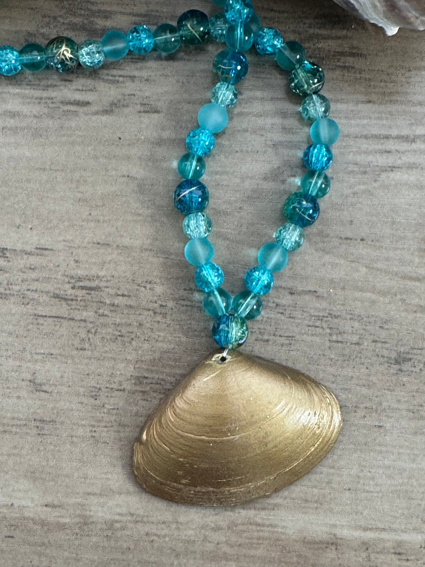 Coastal Treasure Shell Necklace