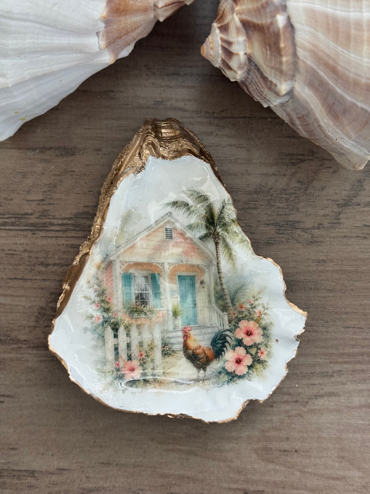 Peach Cottage Oyster Shell