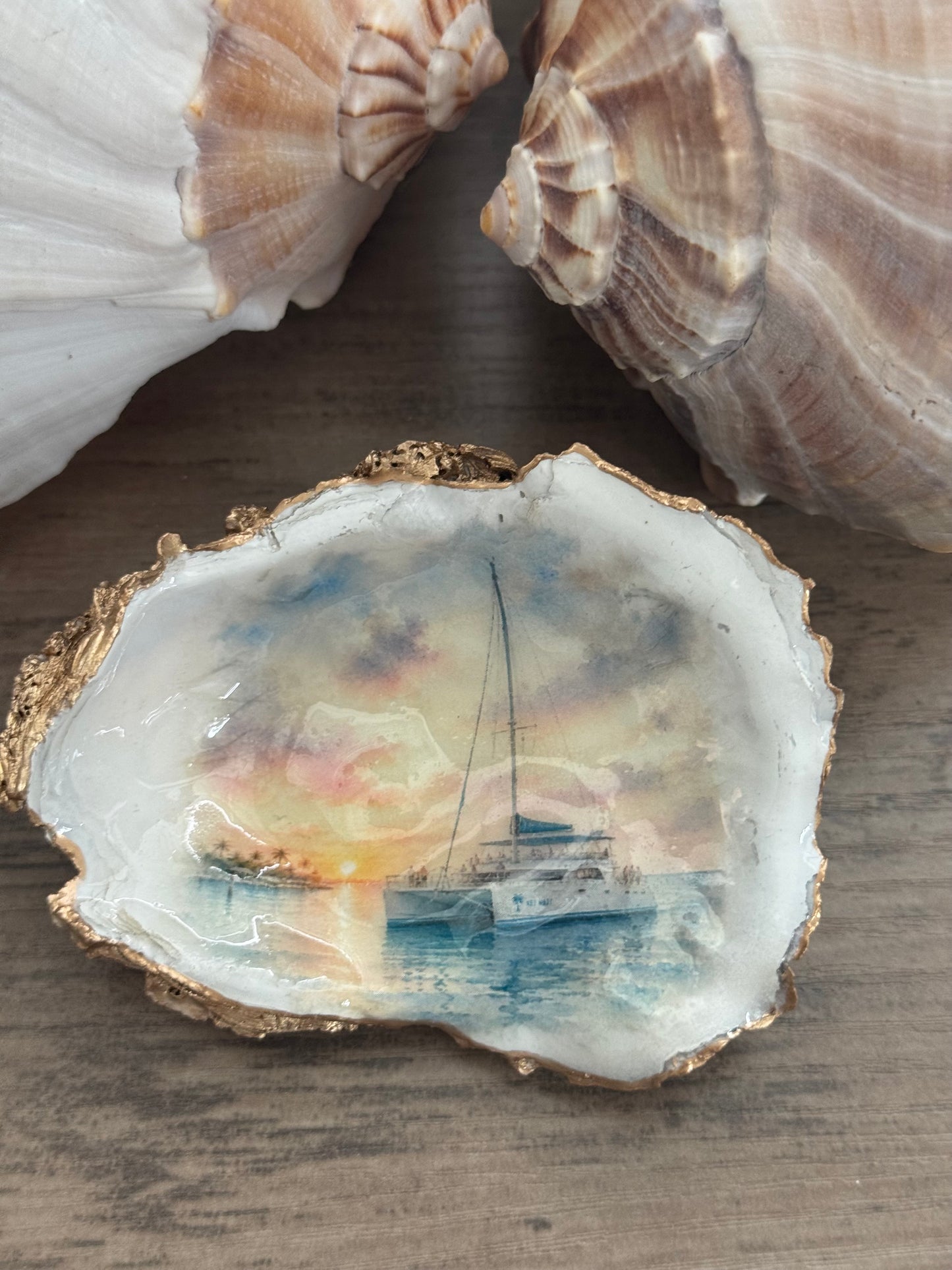 Catamaran Oyster Shell