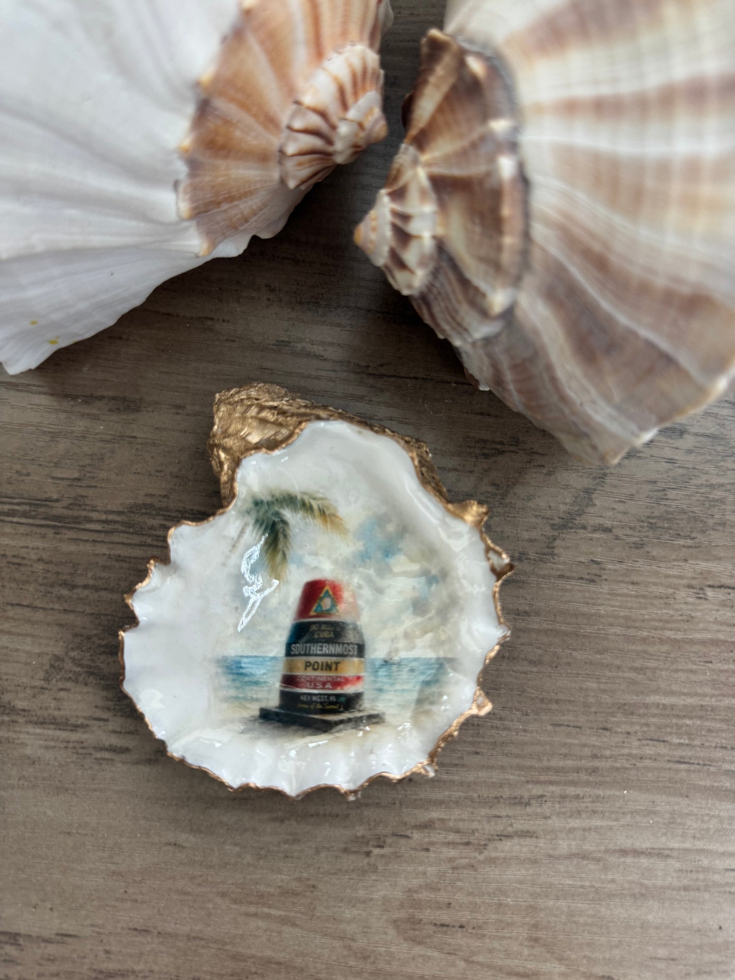 Southernmost Point Oyster Shell