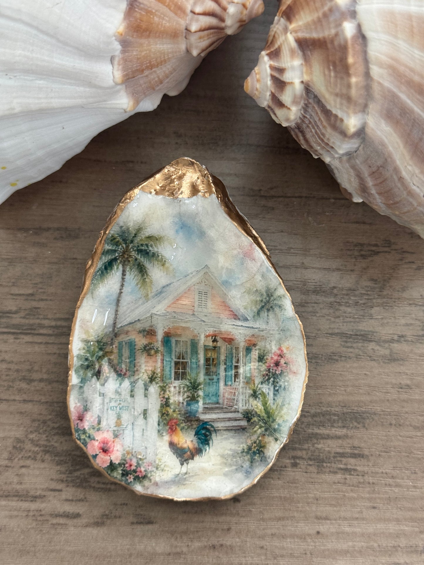 Peach Cottage Oyster Shell