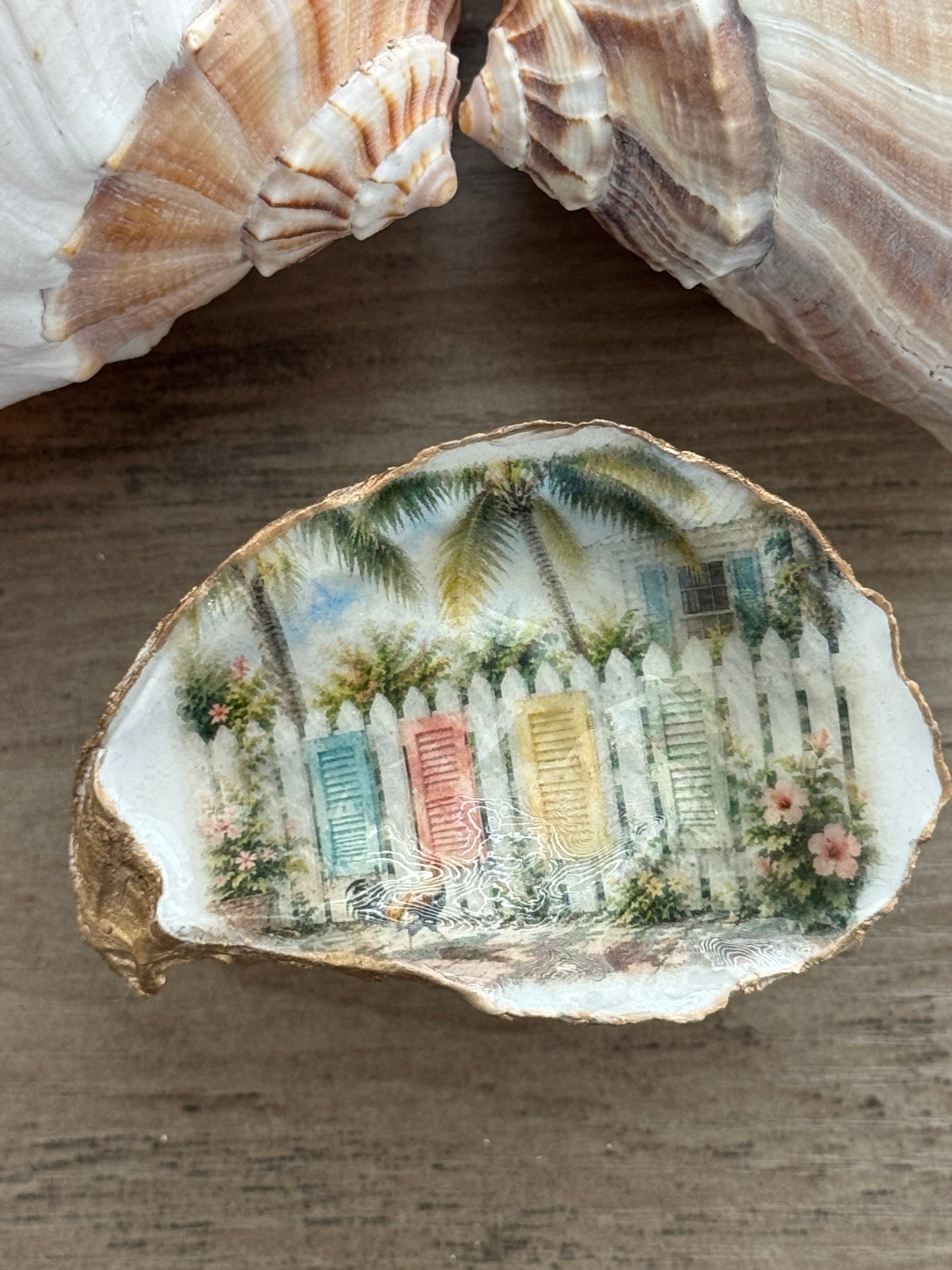 Shutters on Fence Oyster Shell