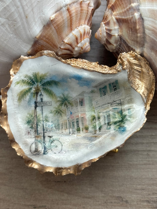 Duval Street Oyster Shell