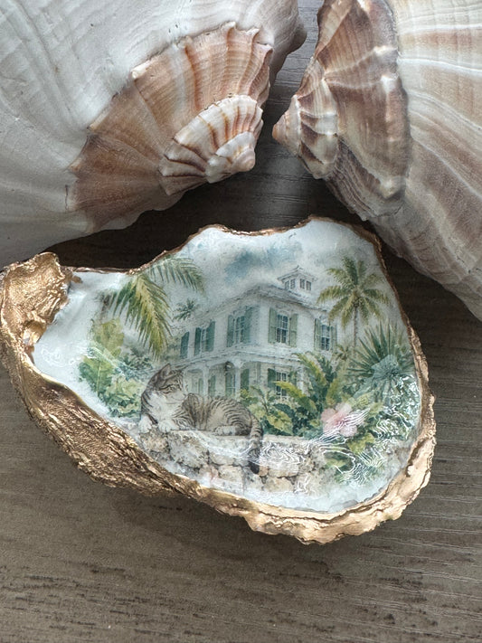 Hemmingway Cat Oyster Shell