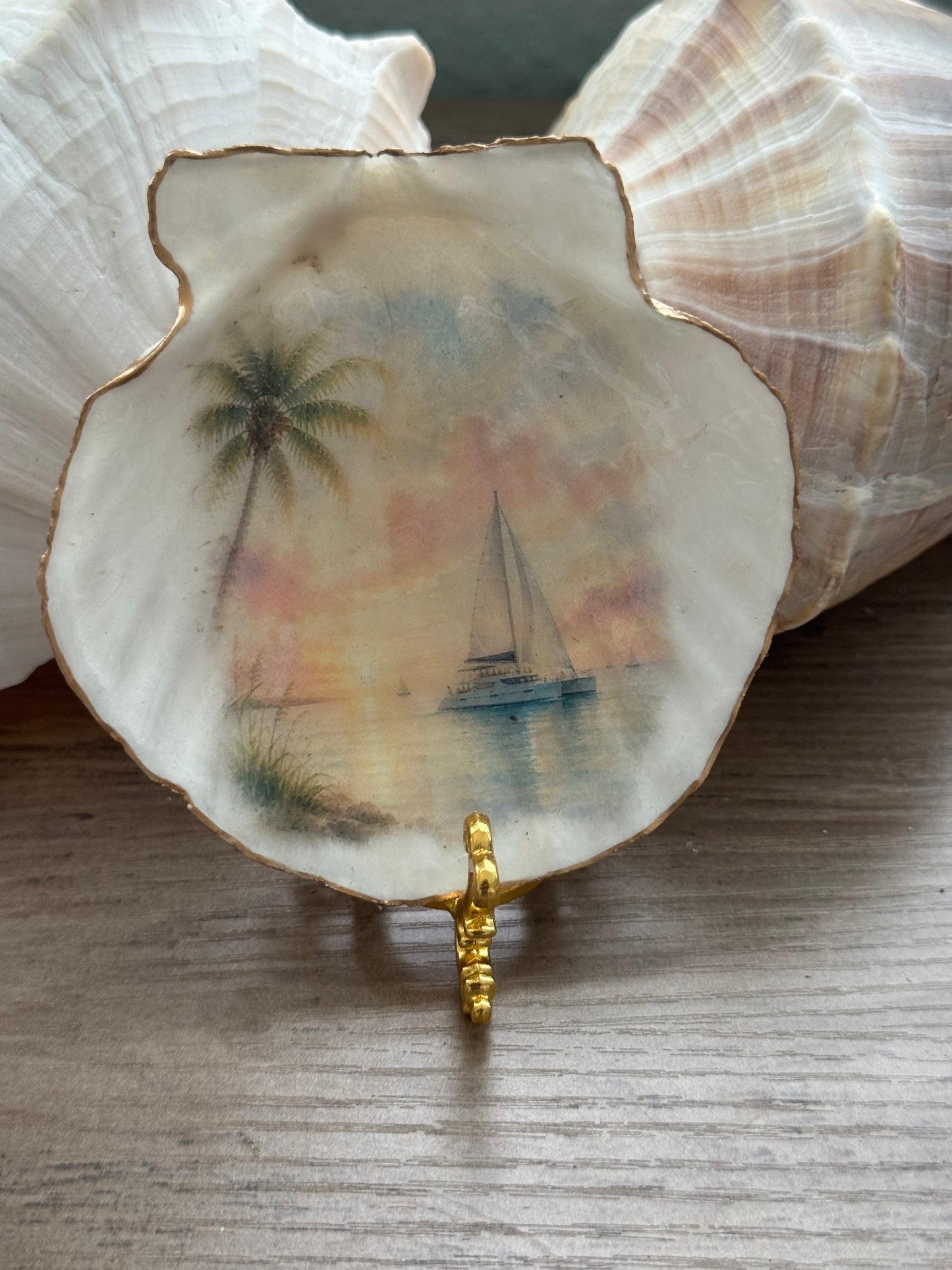 Sailboat Scallop Shell