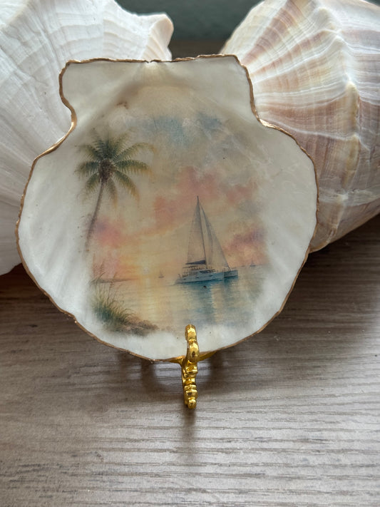 Sailboat Scallop Shell
