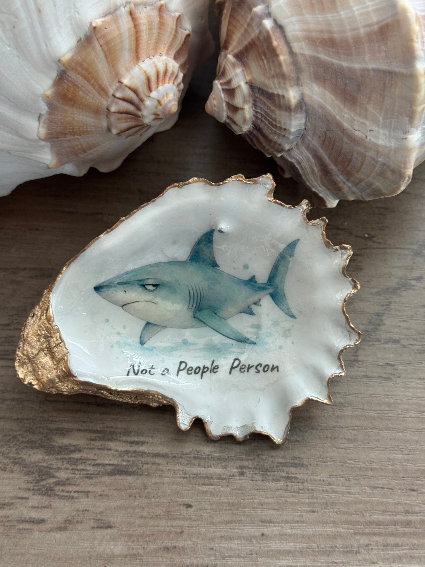 Coastal Attitude Oyster Shell Trinket Dish
