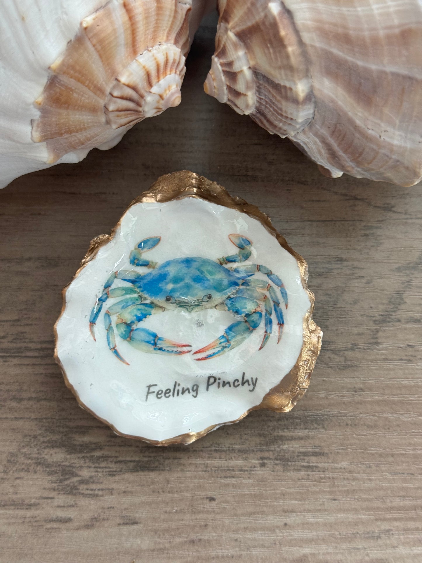 Coastal Attitude Oyster Shell Trinket Dish