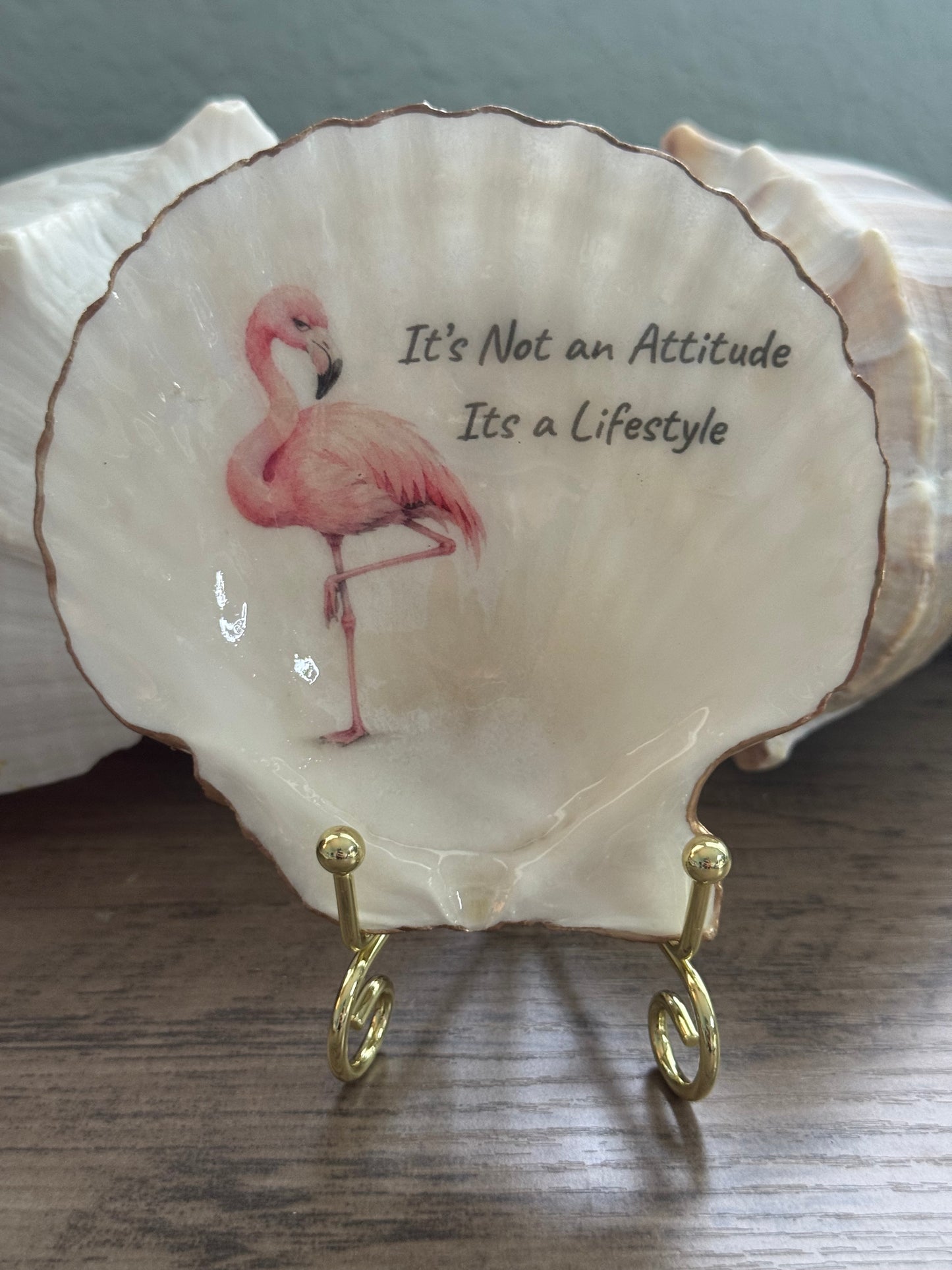 Coastal Attitude Scallop Shell
