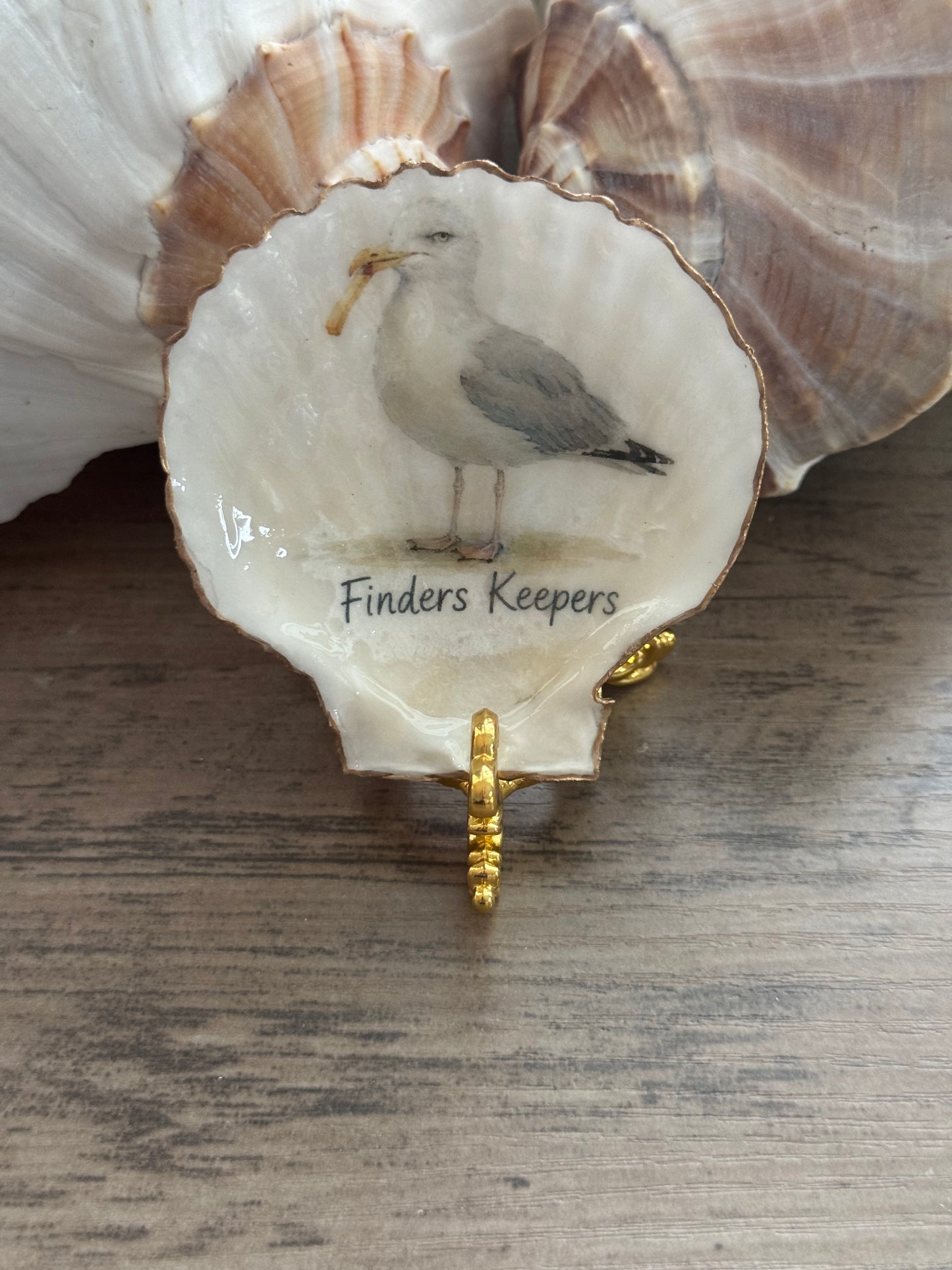 Coastal Attitude Scallop Shell