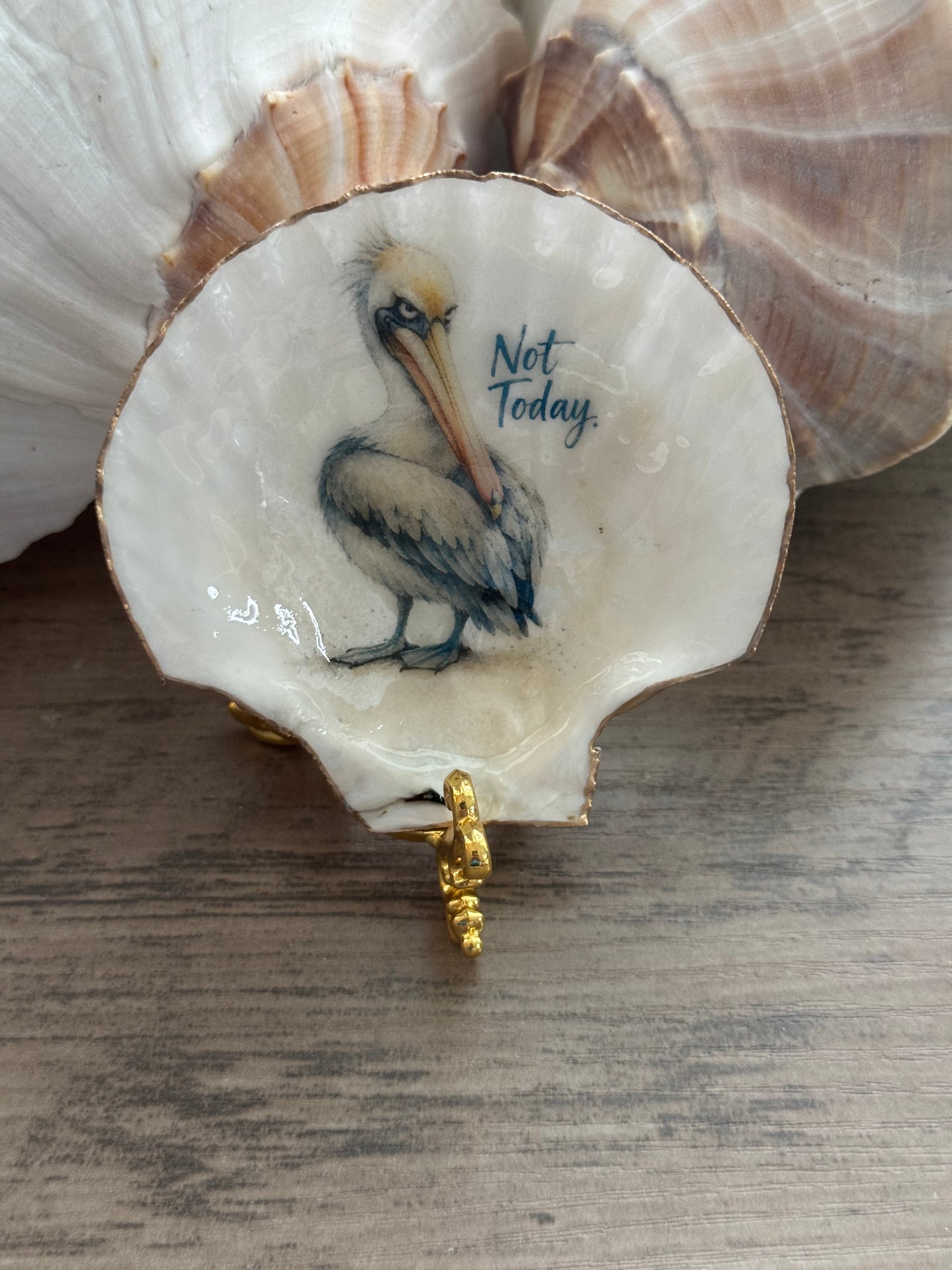 Coastal Attitude Scallop Shell