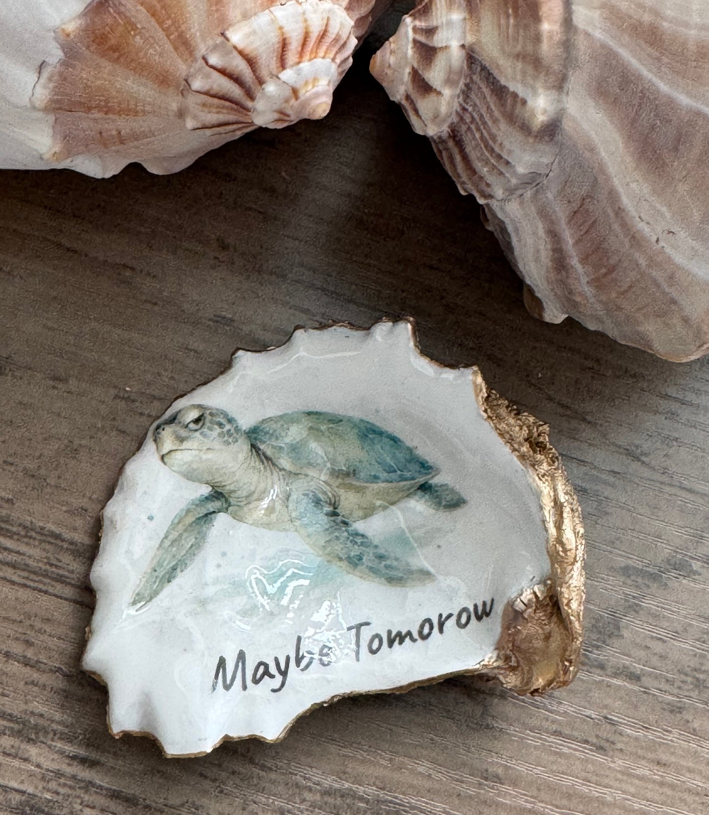 Coastal Attitude Oyster Shell Trinket Dish