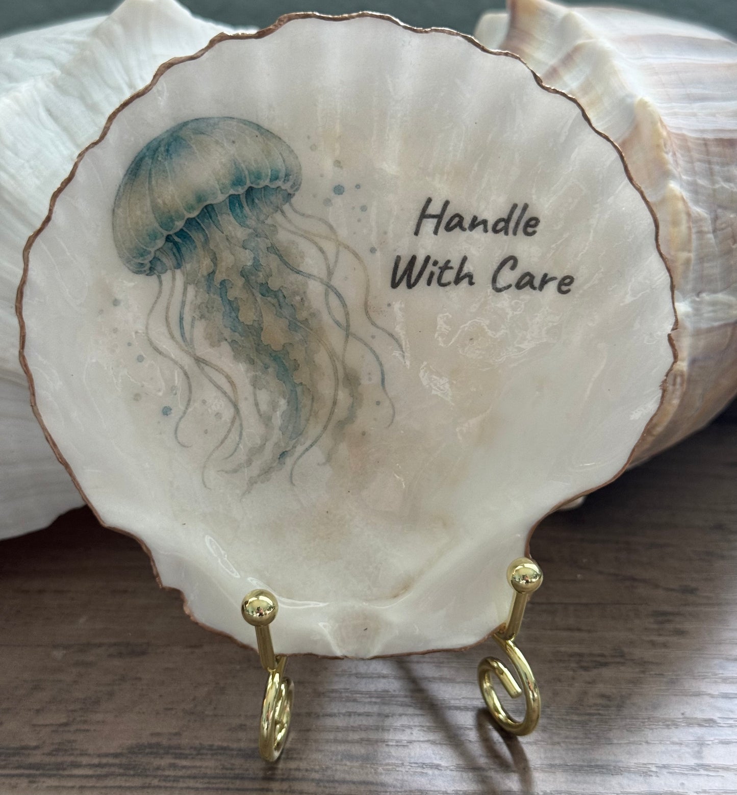 Coastal Attitude Scallop Shell
