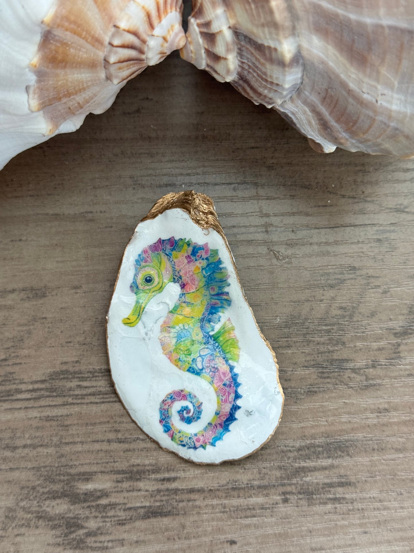 Coastal Shell Art Magnet