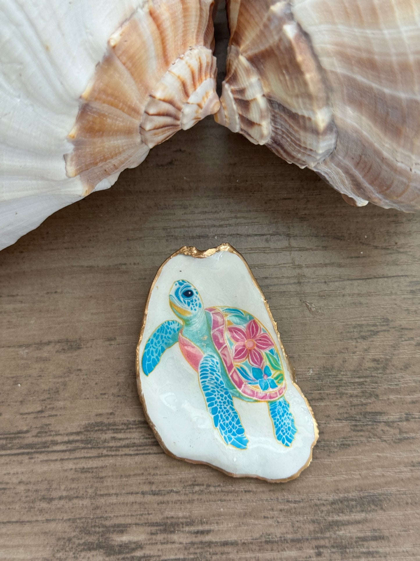 Coastal Shell Art Magnet