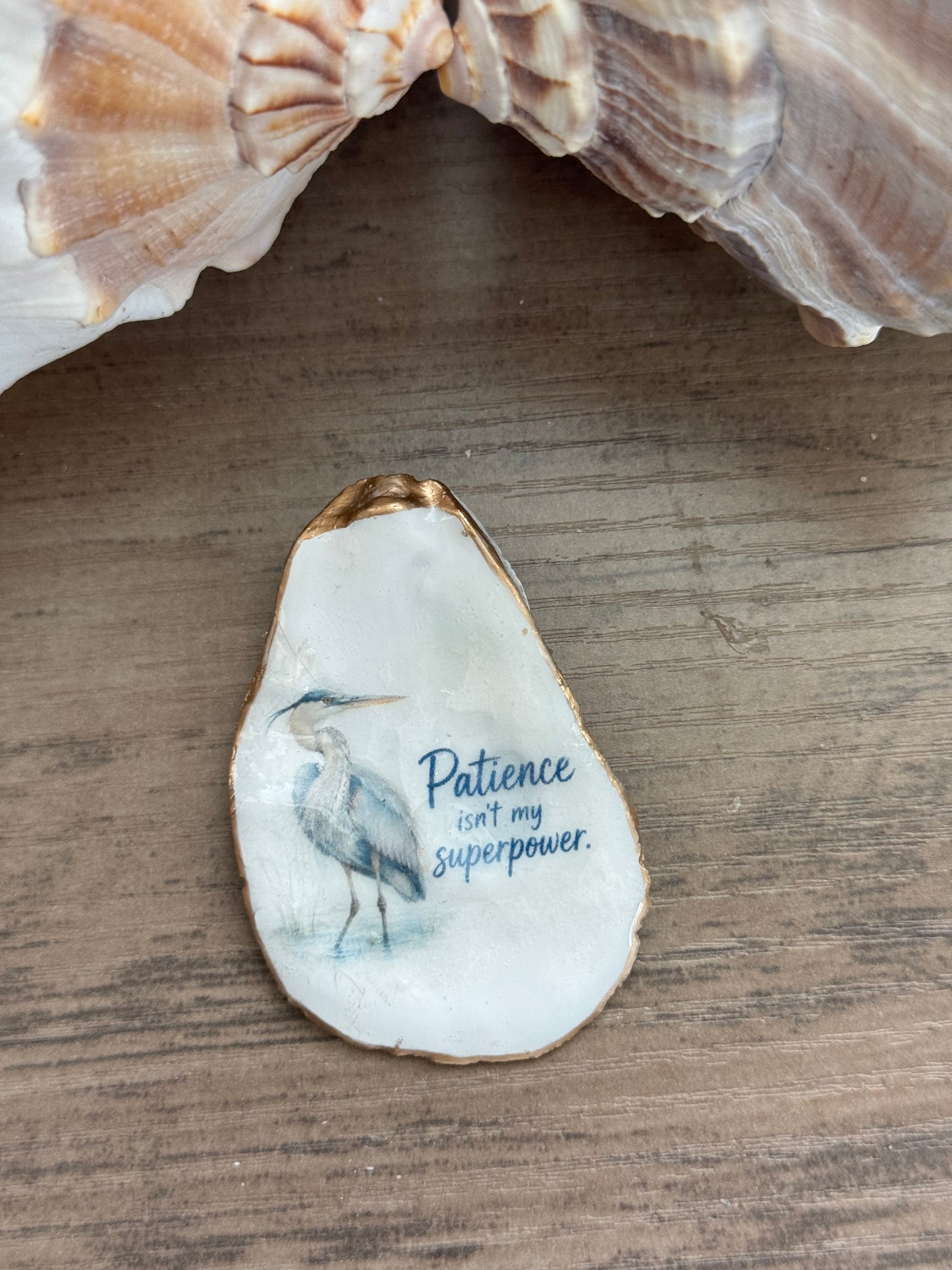 Coastal Attitude Magnet