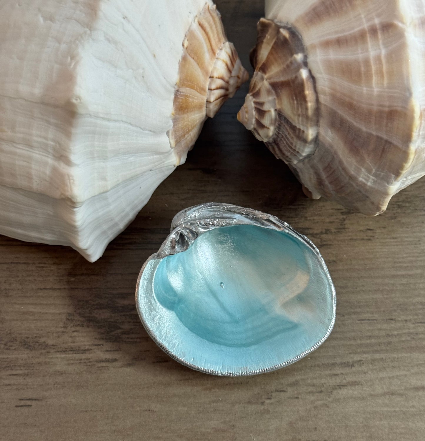 Seaside Expressions Trinket Tray