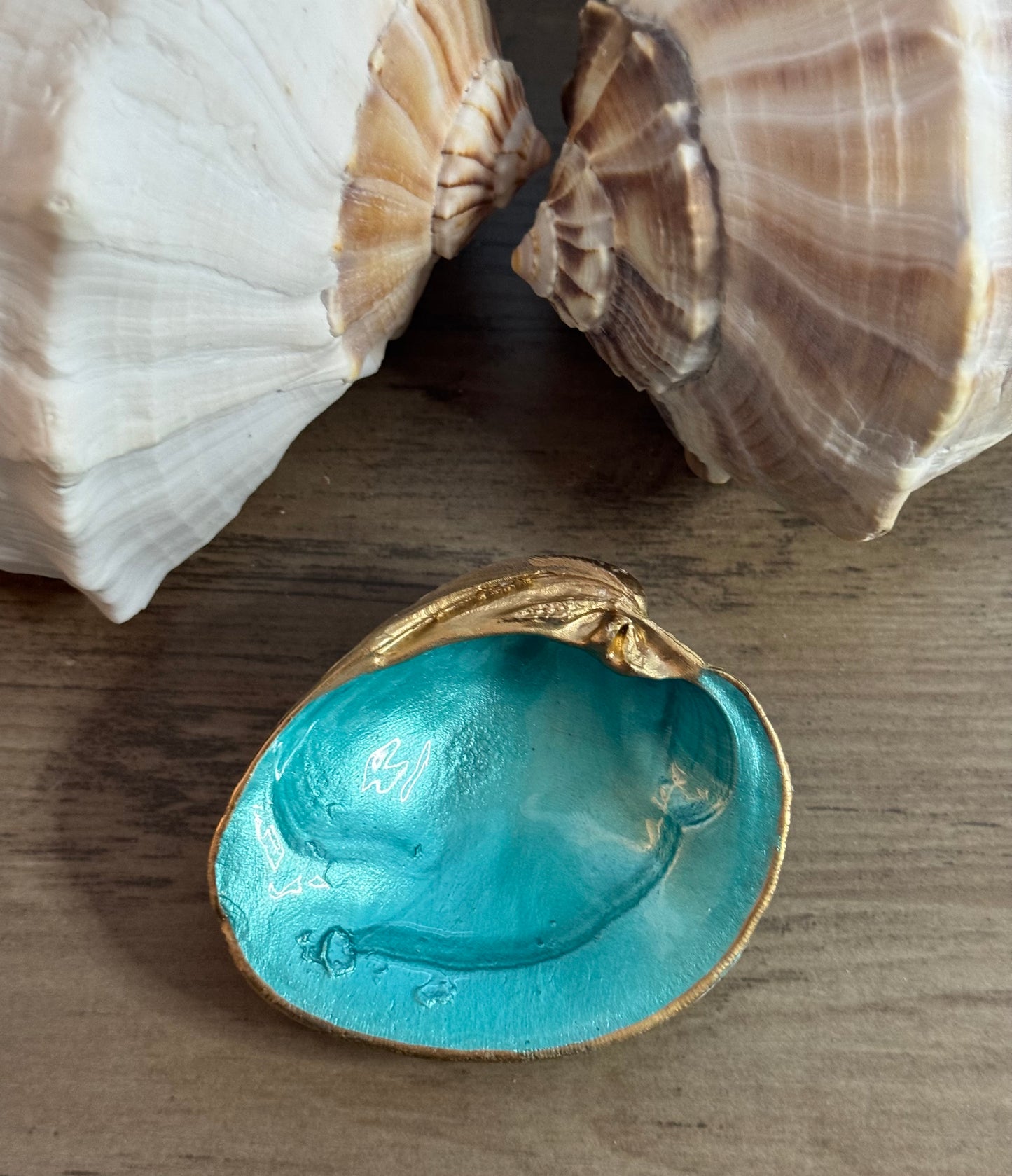 Seaside Expressions Trinket Tray