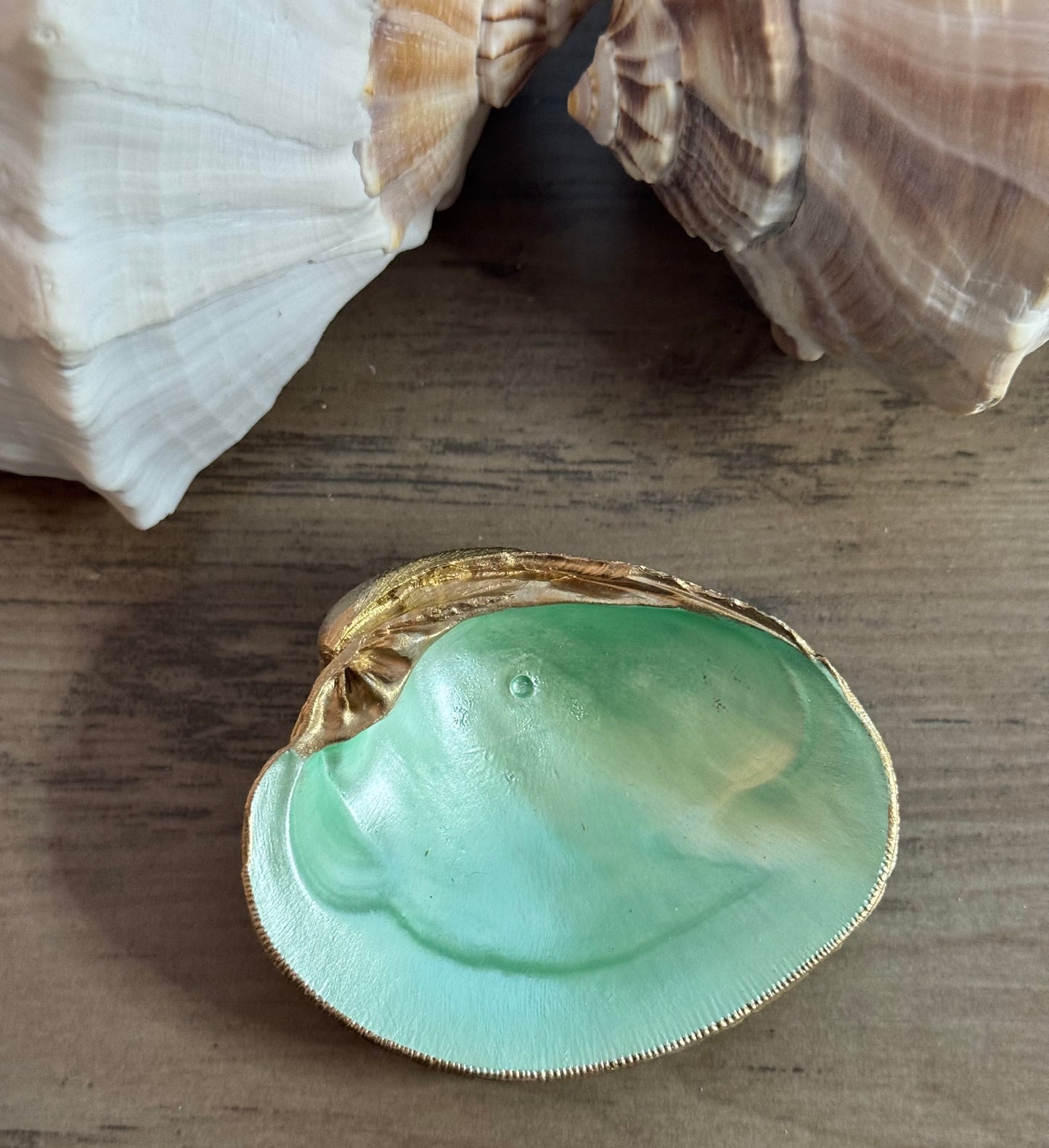 Seaside Expressions Trinket Tray