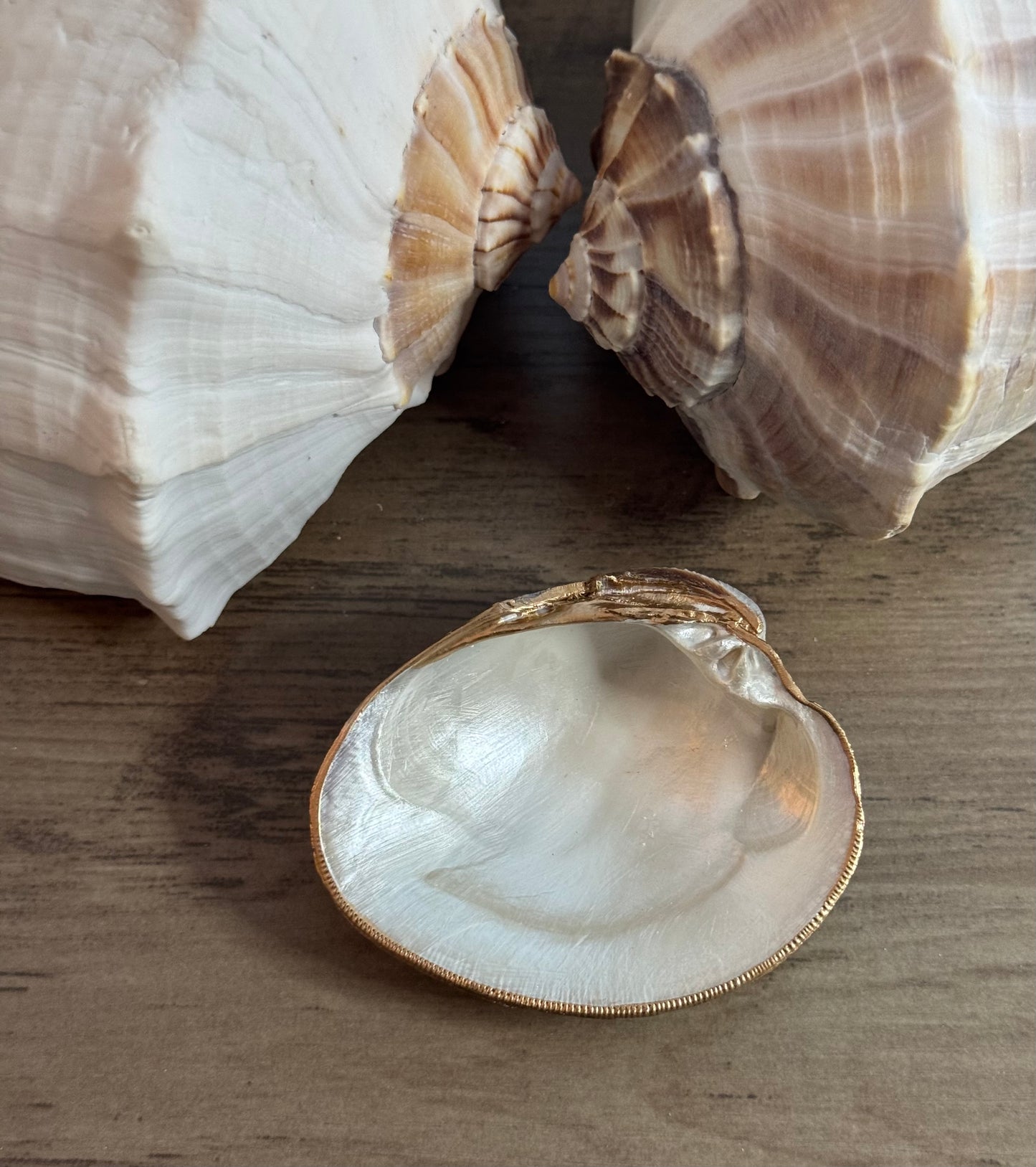 Seaside Expressions Trinket Tray