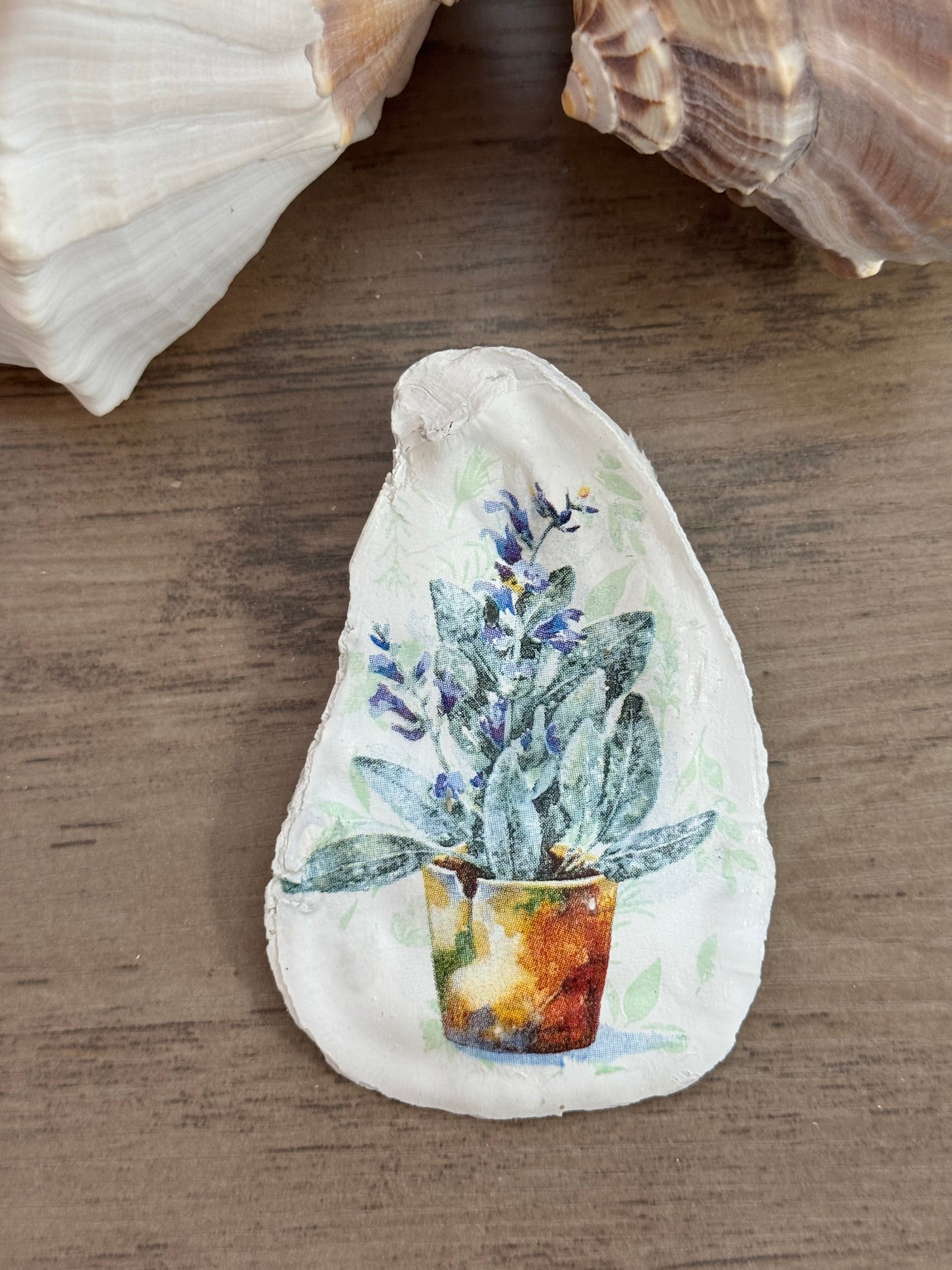 Seaside Expressions Trinket Tray