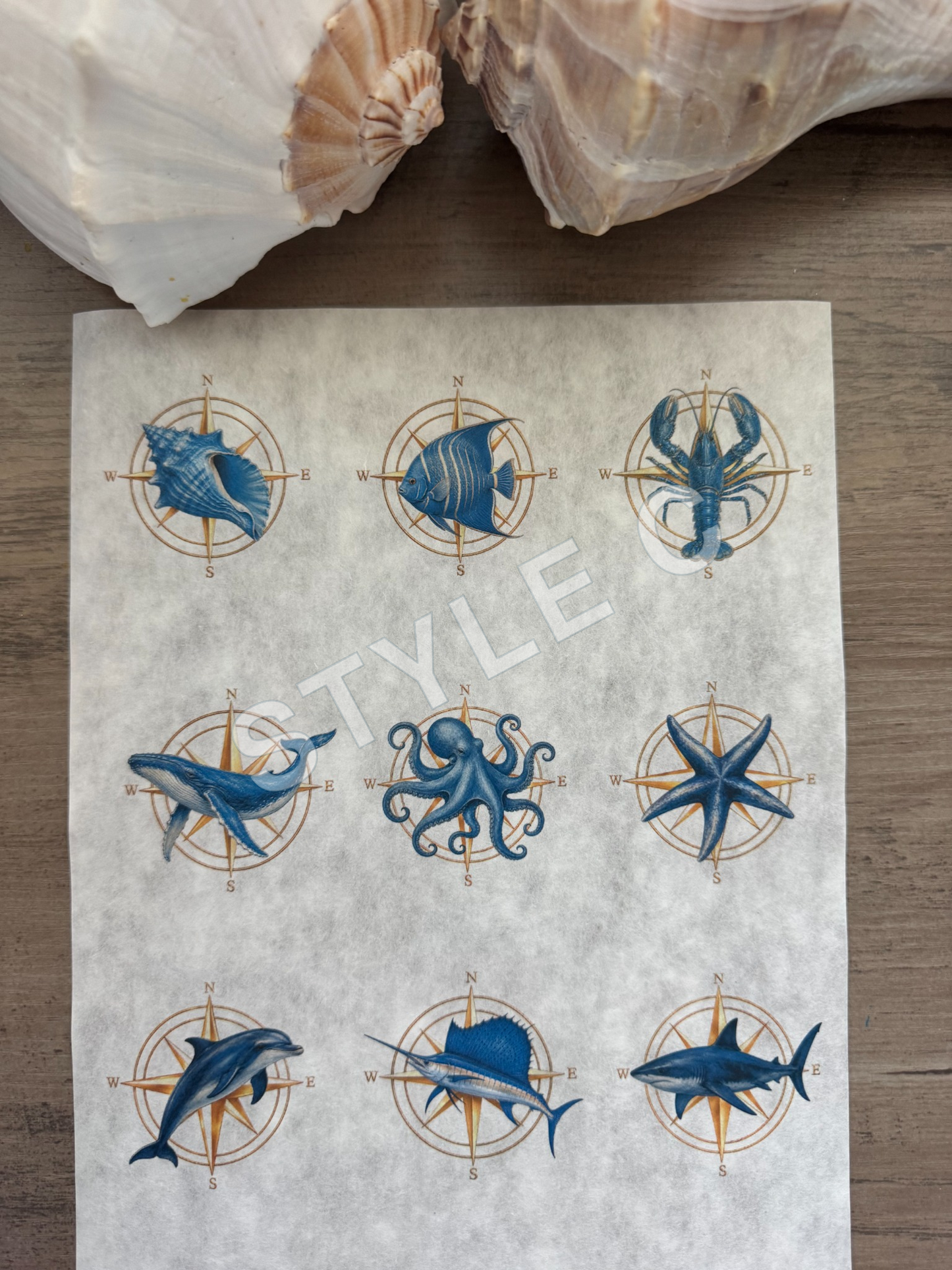 Golden Compass Decoupage Paper
