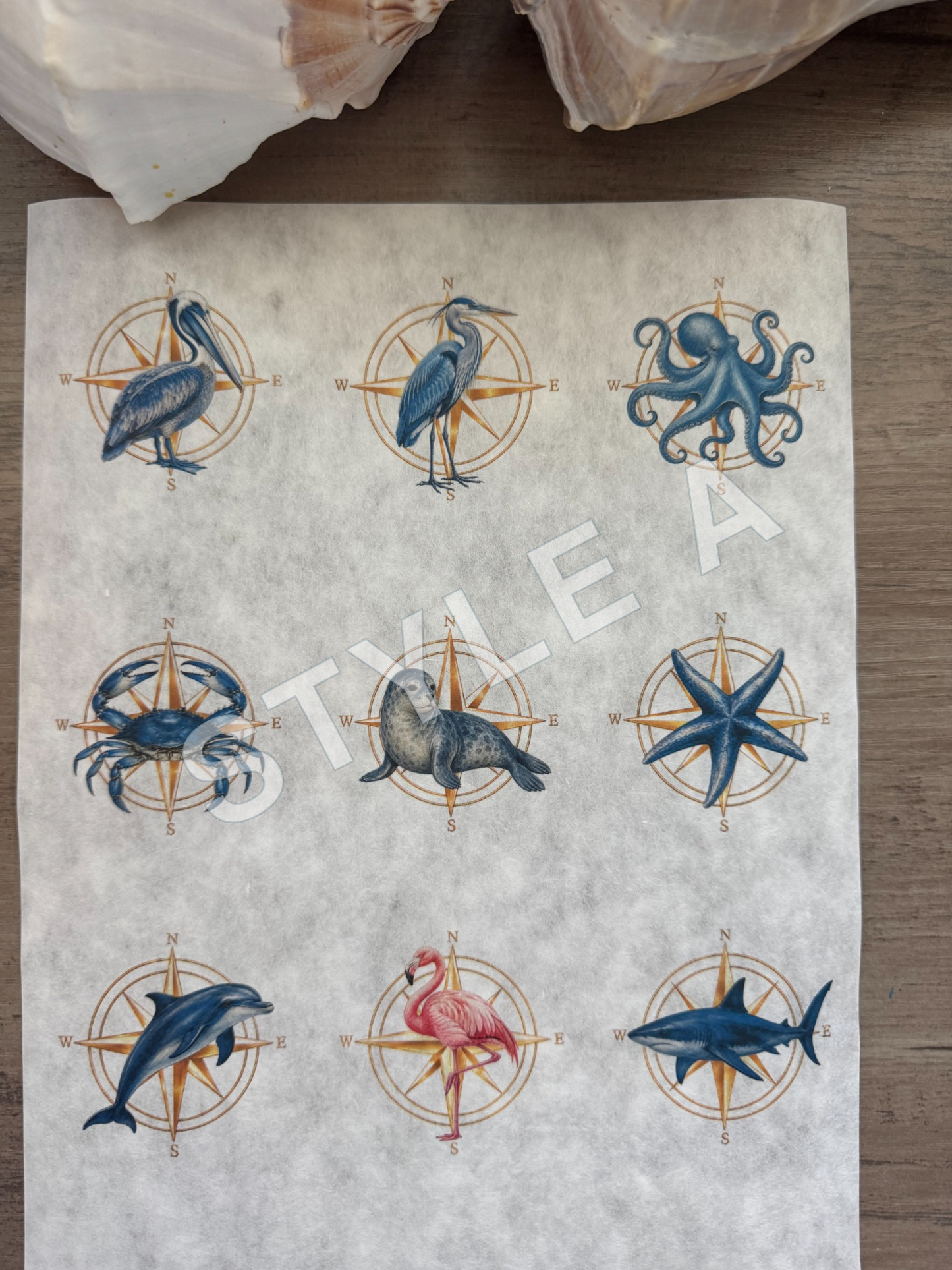 Golden Compass Decoupage Paper