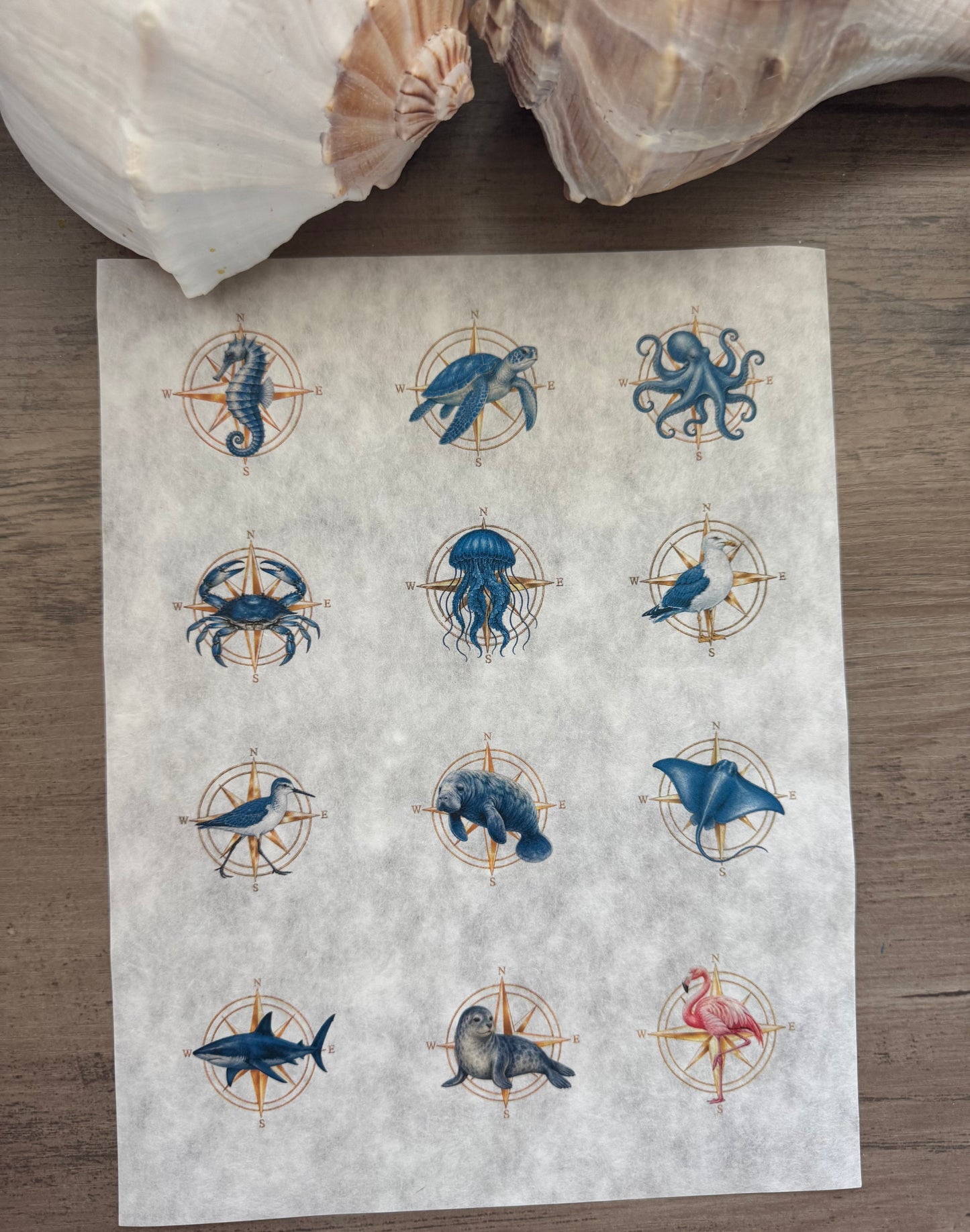 Golden Compass Decoupage Paper