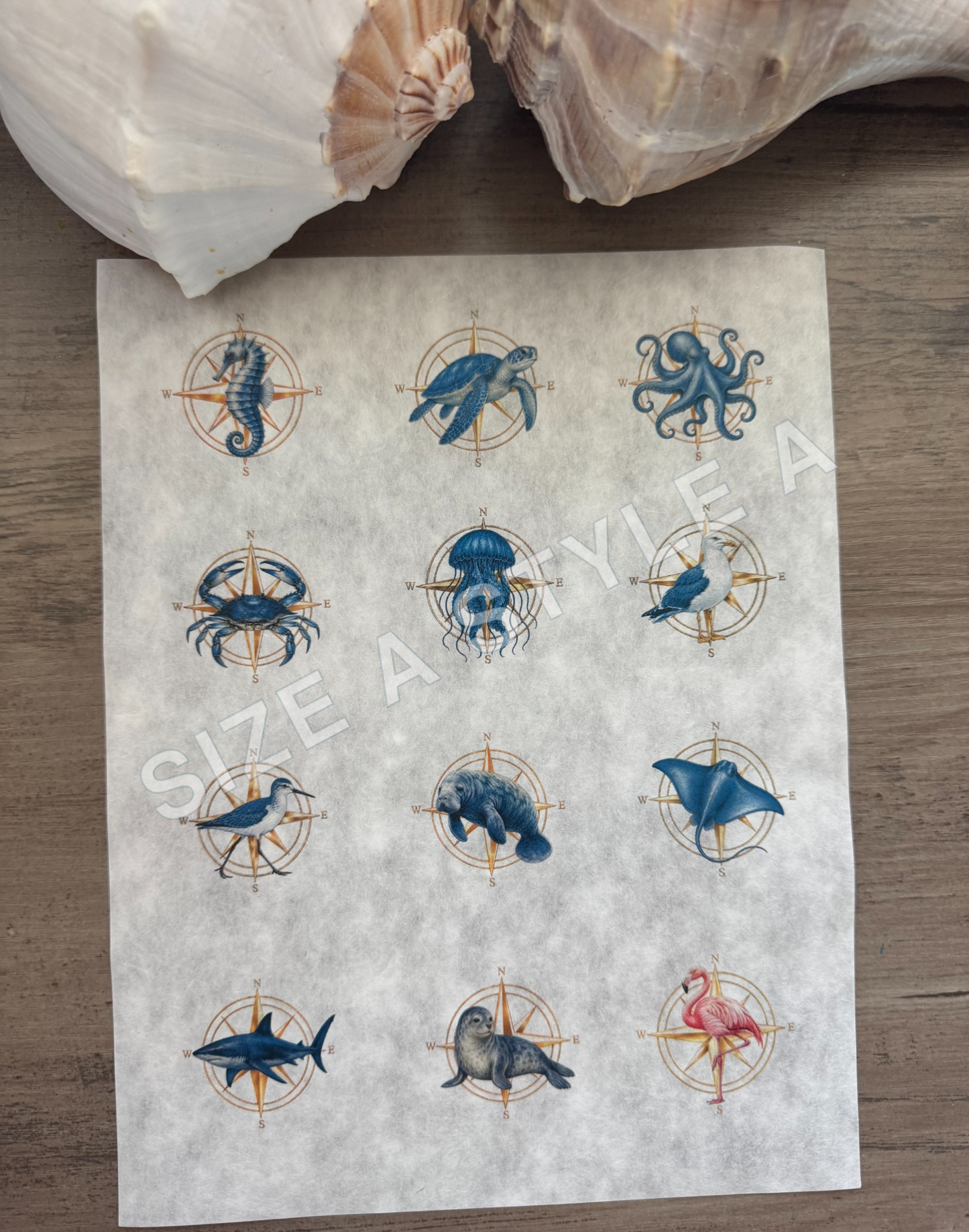 Golden Compass Decoupage Paper