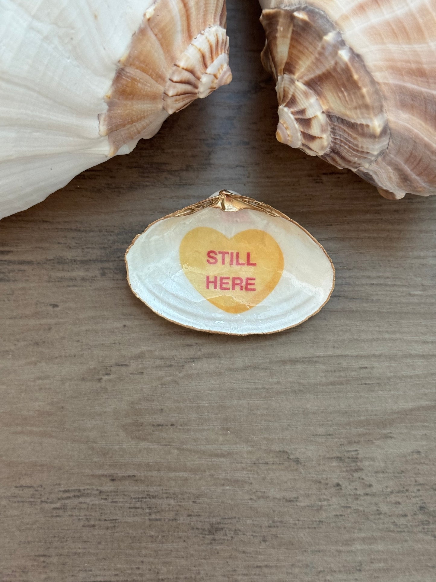 Sweetheart Shell