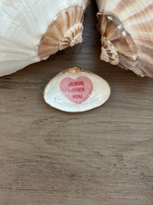 Sweetheart Shell