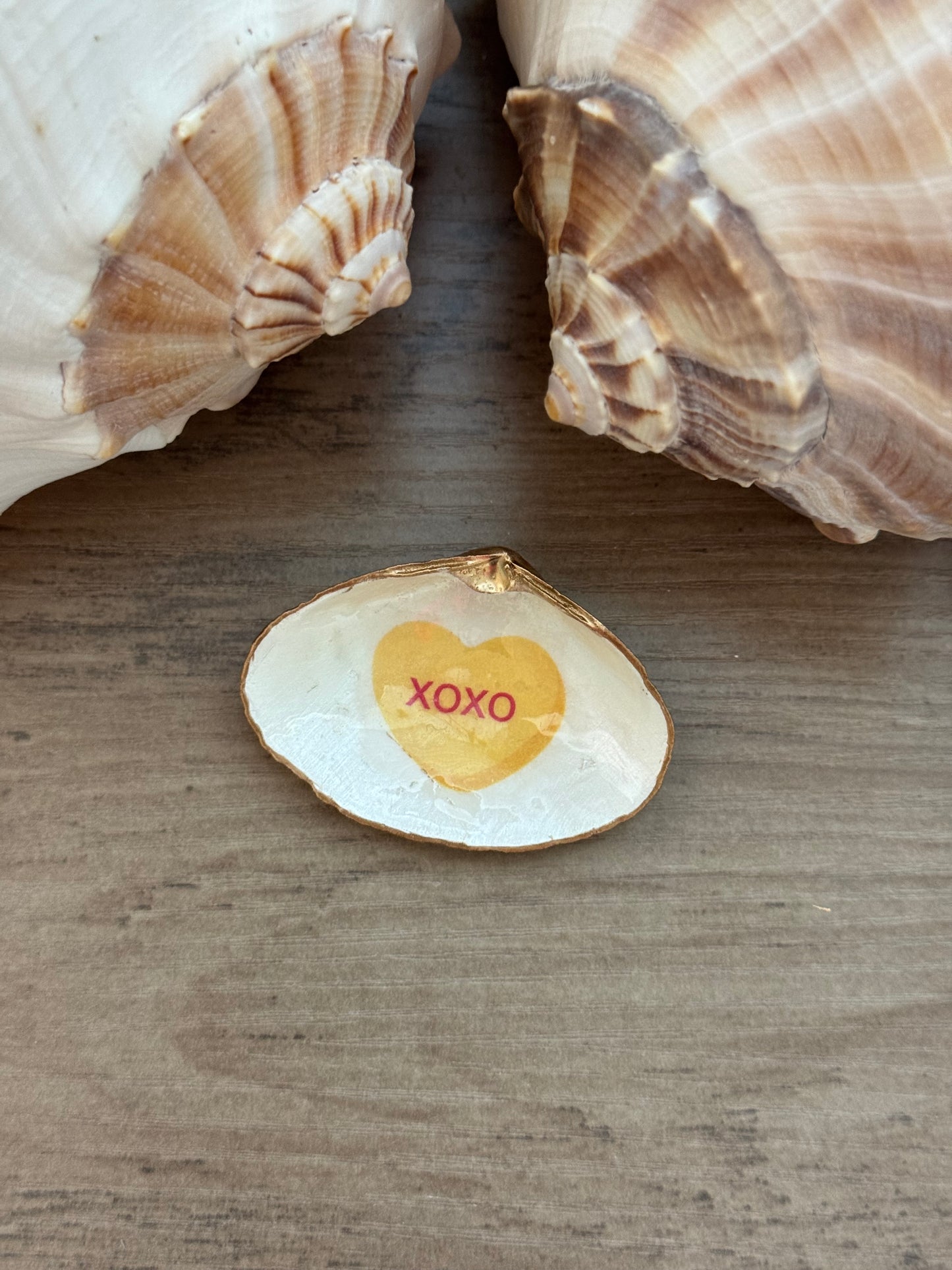 Sweetheart Shell