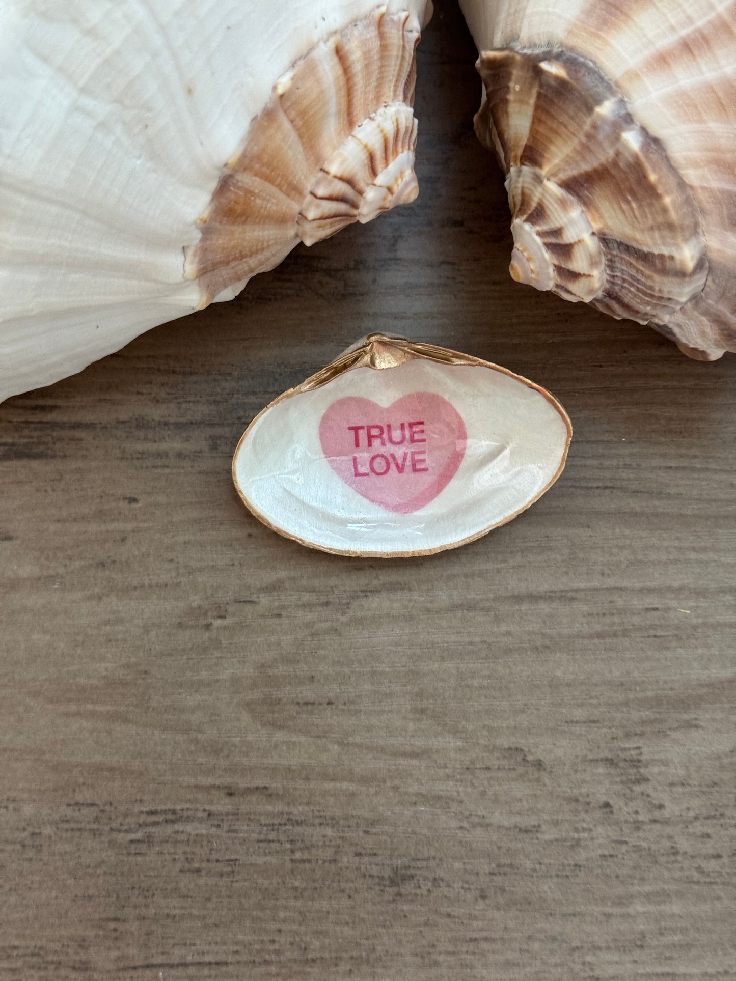 Sweetheart Shell