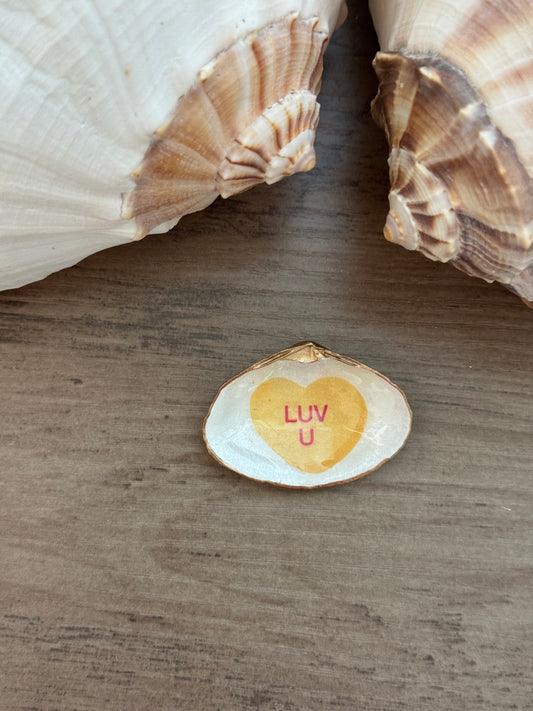 Sweetheart Shell