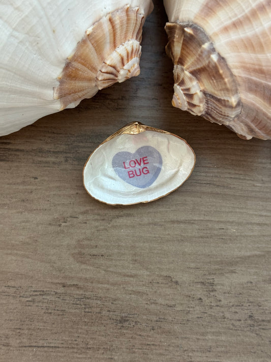 Sweetheart Shell