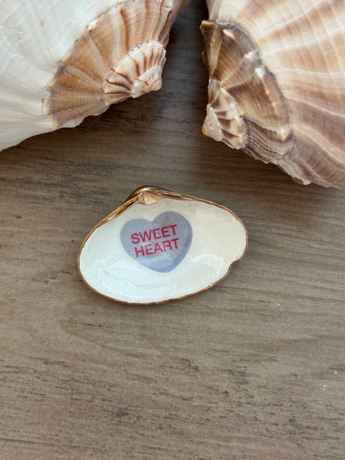 Sweetheart Shell