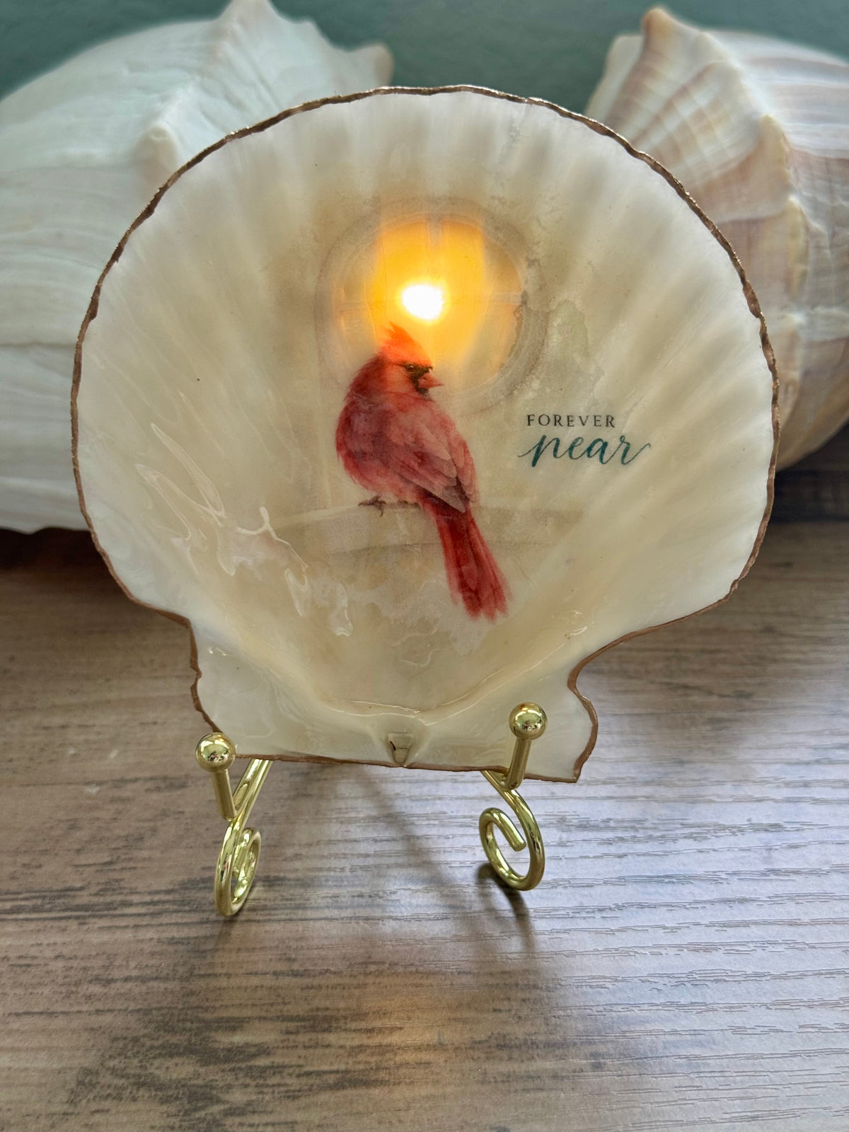 Seaside Expressions Lighted Shells