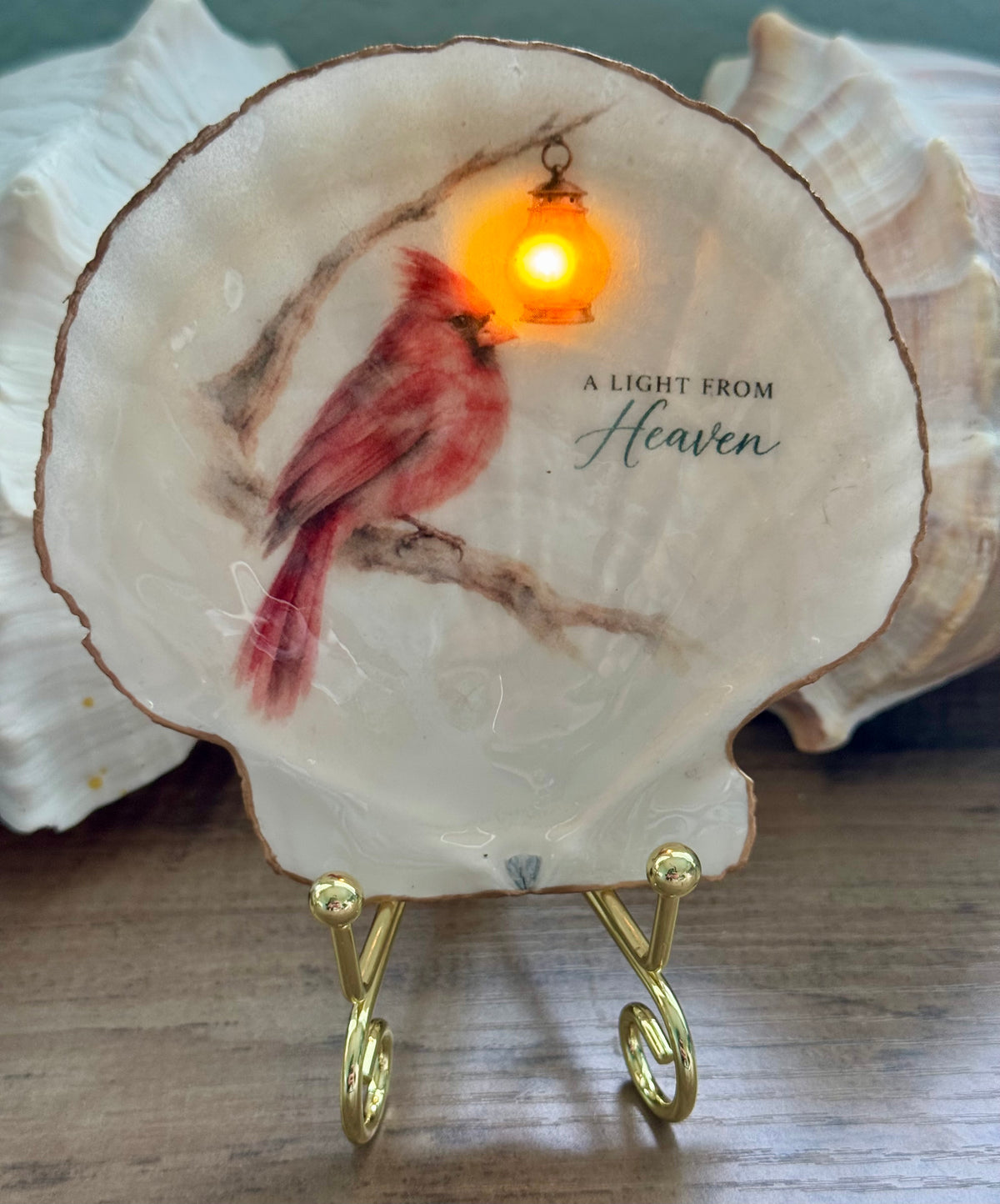 Seaside Expressions Lighted Shells