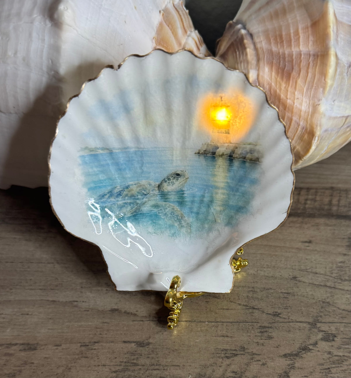 Coastal Glow Lighted Shell