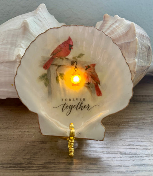 Seaside Expressions Lighted Shells
